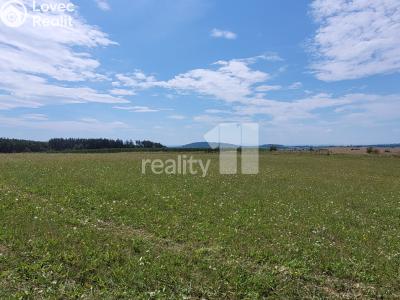 Prodej stavebního pozemku Čížová č. 22