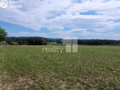 Prodej stavebního pozemku Čížová č. 26