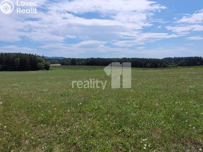 Prodej stavebního pozemku Čížová č. 31