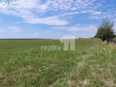 Prodej stavebního pozemku Čížová č. 36