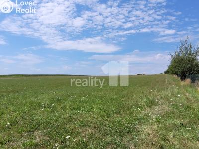 Prodej stavebního pozemku Čížová č. 37