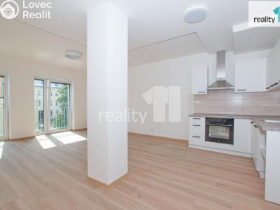 Pronájem bytu 2+KK Liberec, Papírová č. 1