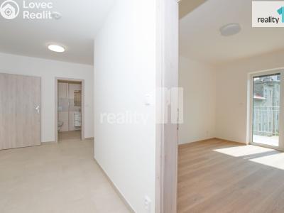 Pronájem bytu 2+KK Liberec, Papírová č. 2