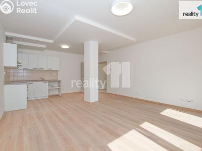 Pronájem bytu 2+KK Liberec, Papírová č. 3