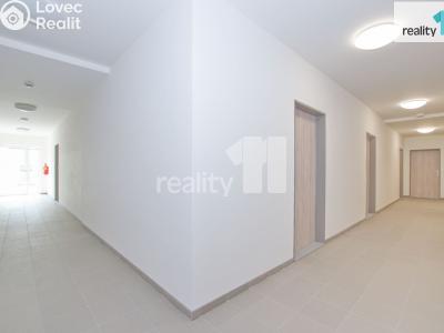 Pronájem bytu 2+KK Liberec, Papírová č. 12