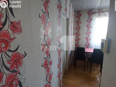 Prodej bytu 2+1 Chodov, Budovatelů 678 č. 10