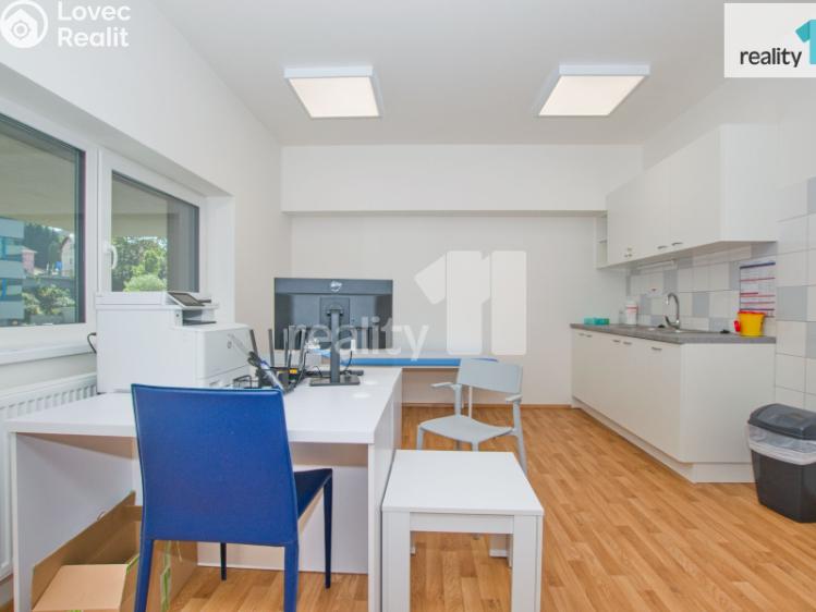 Pronájem komerční nemovitosti Liberec, U Nisy 916/12 č. 4