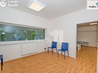 Pronájem komerční nemovitosti Liberec, U Nisy č. 15