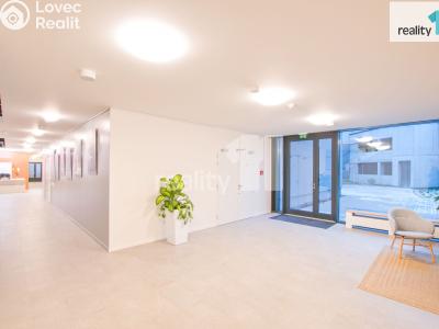 Pronájem komerční nemovitosti Liberec, U Nisy č. 21