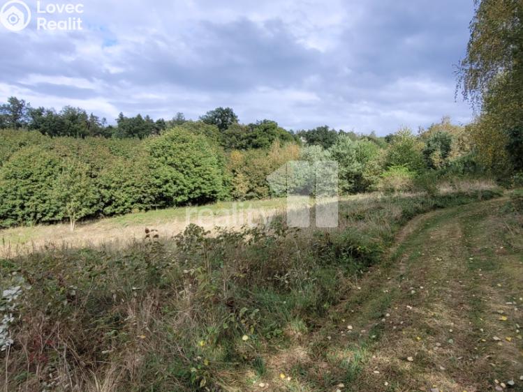 Prodej stavebního pozemku Písek, třída Přátelství 2002 č. 2