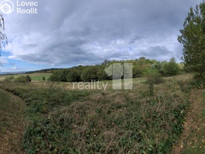 Prodej stavebního pozemku Písek, třída Přátelství 2002 č. 9