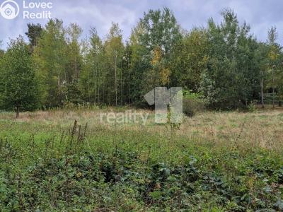 Prodej stavebního pozemku Písek, třída Přátelství 2002 č. 15