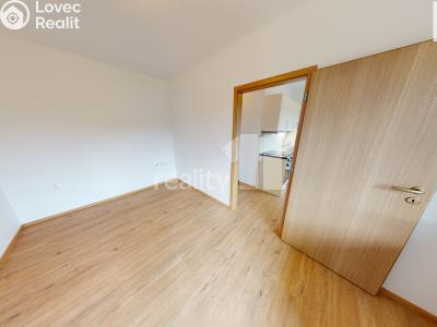 Pronájem bytu 1+1 Světlá nad Sázavou č. 2