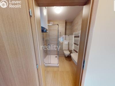 Pronájem bytu 1+1 Světlá nad Sázavou č. 9