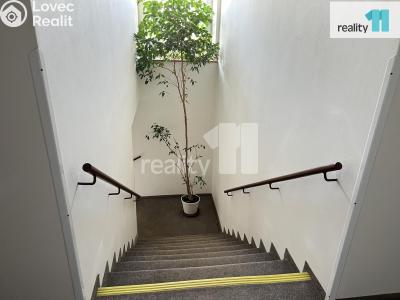 Pronájem obchodního prostoru Česká Lípa, Paní Zdislavy č. 6