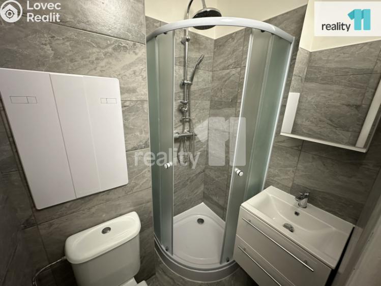 Pronájem bytu 1+KK Česká Lípa, Kozákova 441/18 č. 3