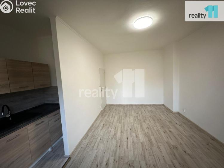 Pronájem bytu 1+KK Česká Lípa, Kozákova 441/18 č. 4