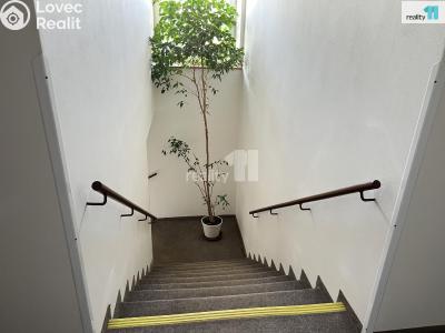 Pronájem bytu 2+KK Česká Lípa, Paní Zdislavy 2353 č. 12