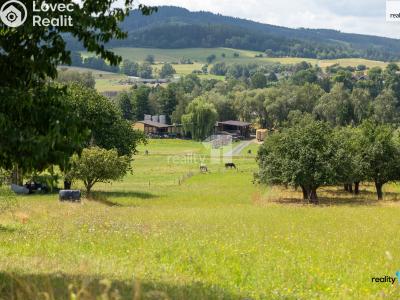 Prodej stavebního pozemku Strážov č. 10