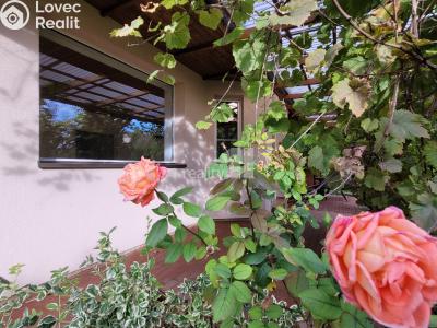 Prodej rodinného domu Plaňany, Za Cukrovarem 405 č. 22