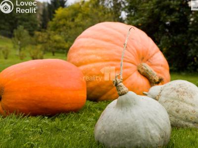 Prodej rodinného domu Skalice u České Lípy č. 40