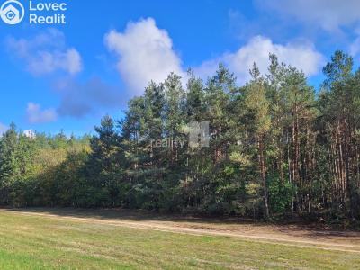 Prodej chaty Káraný č. 30