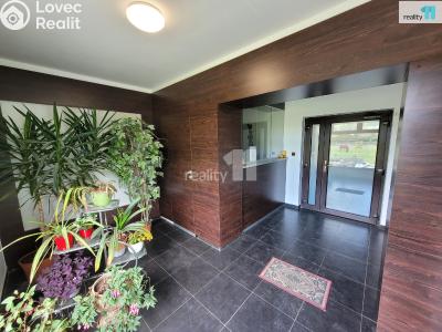 Prodej komerční nemovitosti Stružná č. 21