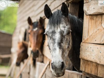 Prodej komerční nemovitosti Stružná č. 38