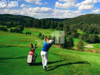 Prodej komerční nemovitosti Stružná č. 49