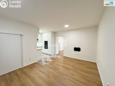 Pronájem bytu 3+KK Praha, Ševčíkova č. 4