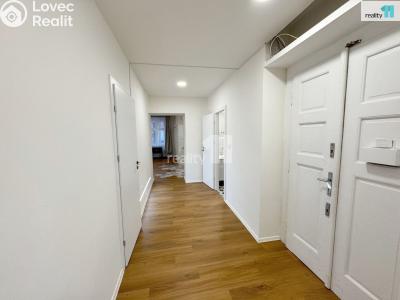 Pronájem bytu 3+KK Praha, Ševčíkova č. 14