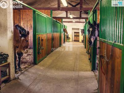 Prodej činžovního domu Stružná č. 36