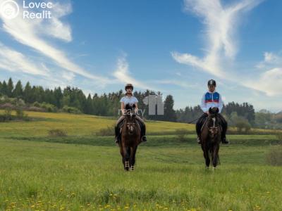 Prodej činžovního domu Stružná č. 40