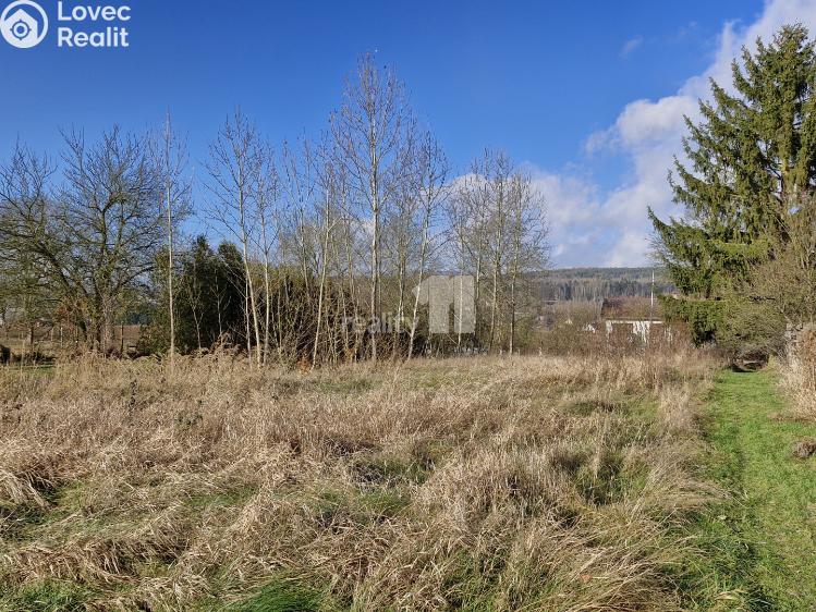 Prodej louky Dalovice, Sedmidomky 74 č. 1