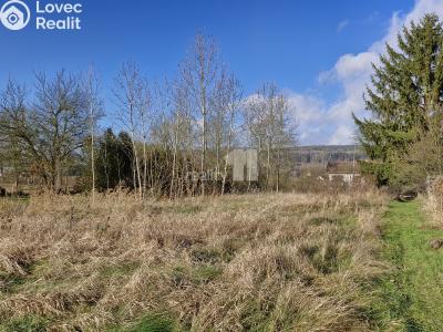 Prodej louky Dalovice, Sedmidomky 74 č. 1