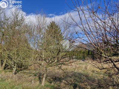 Prodej louky Dalovice, Sedmidomky 74 č. 8