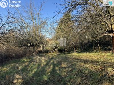 Prodej rodinného domu Ledeč nad Sázavou, Havlíčkova 177 č. 37