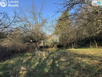 Prodej rodinného domu Ledeč nad Sázavou, Havlíčkova 177 č. 41