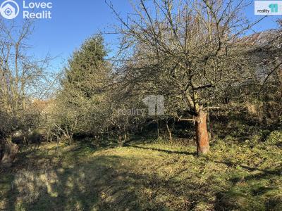 Prodej rodinného domu Ledeč nad Sázavou, Havlíčkova 177 č. 10