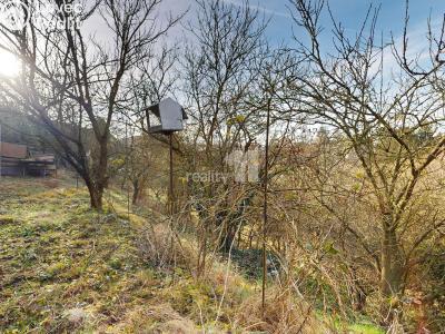 Prodej rodinného domu Ledeč nad Sázavou, Havlíčkova 177 č. 38