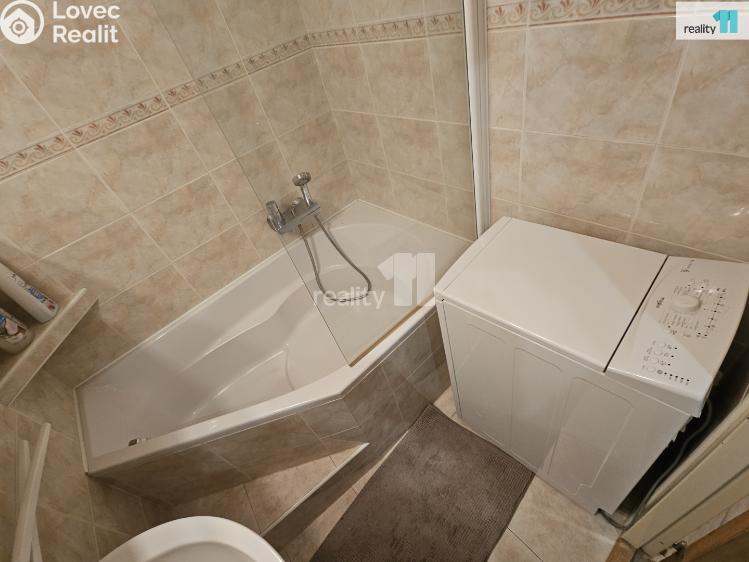 Pronájem bytu 2+KK Praha, Na vinobraní 3009/57 č. 10