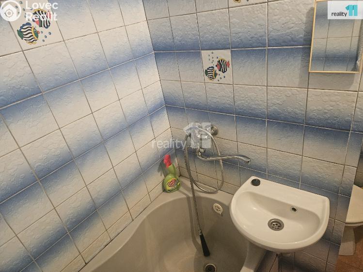 Pronájem bytu 1+1 Mikulášovice č. 4