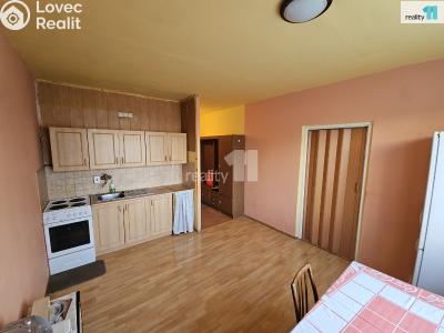 Pronájem bytu 1+1 Mikulášovice č. 1