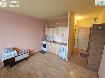 Pronájem bytu 1+1 Mikulášovice č. 5