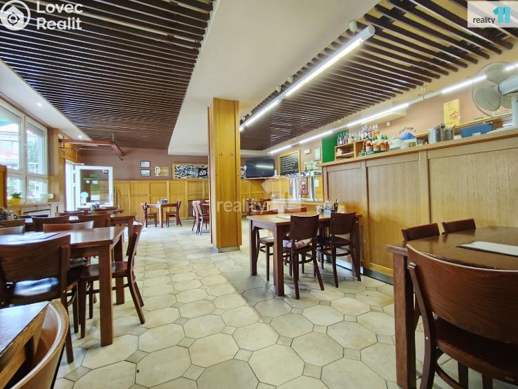 Pronájem komerční nemovitosti Kolín, Slovenská 1040 č. 3