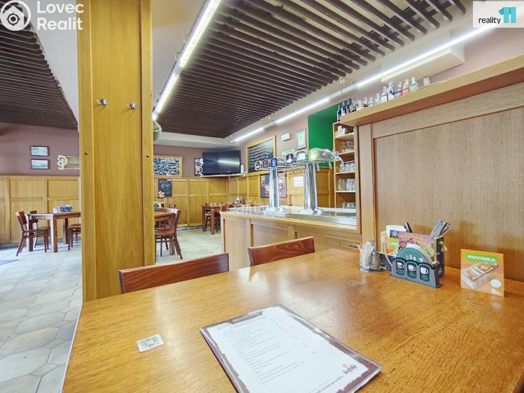 Pronájem komerční nemovitosti Kolín, Slovenská 1040 č. 4