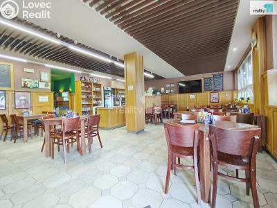 Pronájem komerční nemovitosti Kolín, Slovenská 1040 č. 1