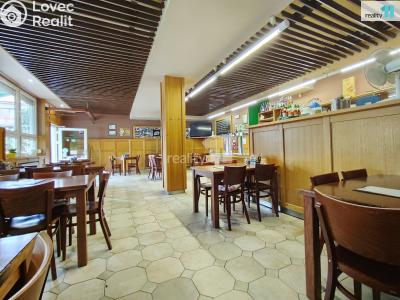 Pronájem komerční nemovitosti Kolín, Slovenská 1040 č. 3