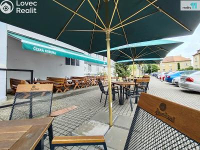 Pronájem komerční nemovitosti Kolín, Slovenská 1040 č. 12