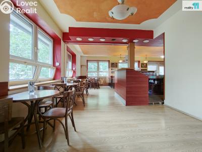 Pronájem komerční nemovitosti Kolín, Slovenská 1040 č. 15